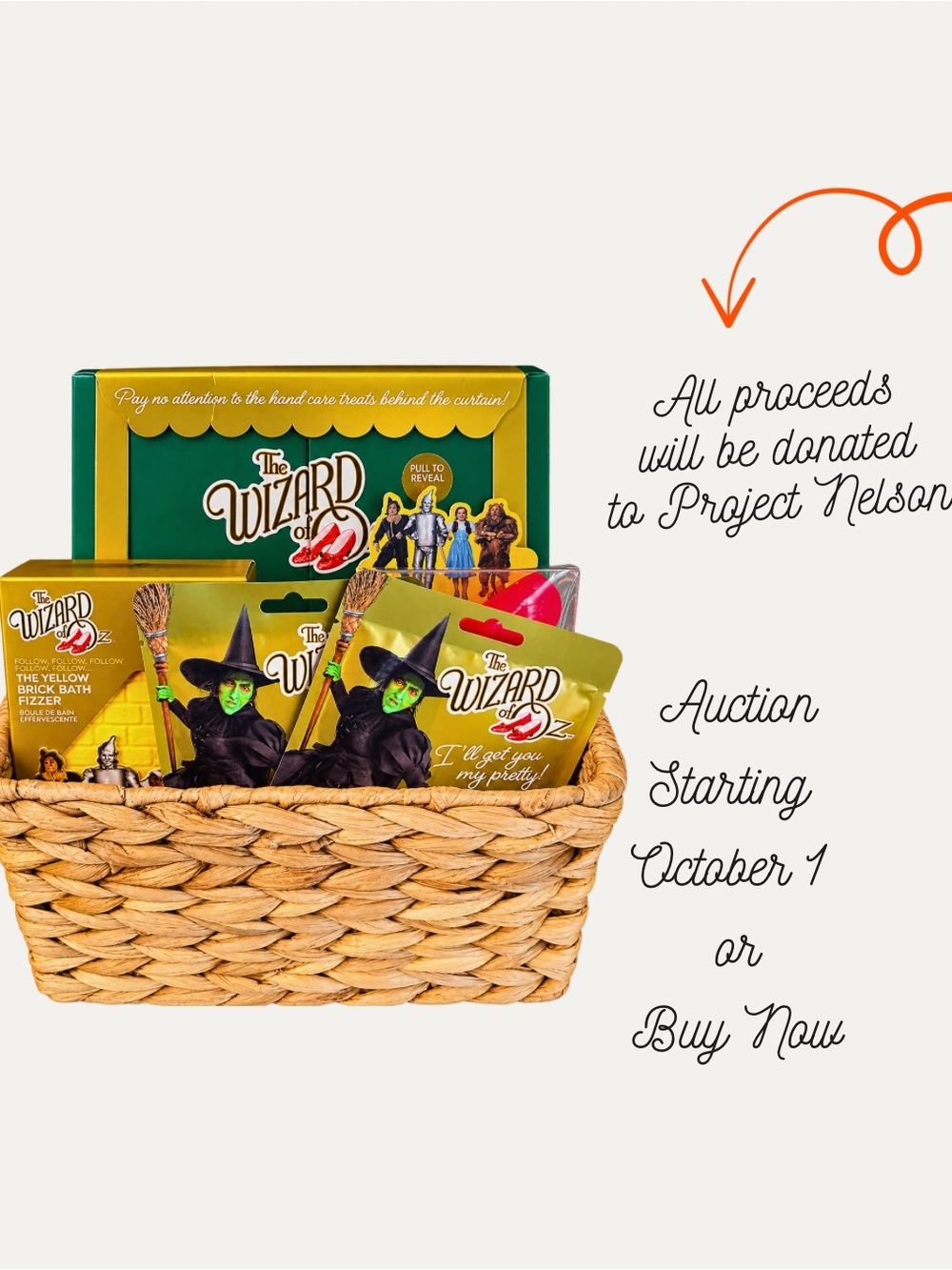 ⚕️Wizard of Oz Gift Basket